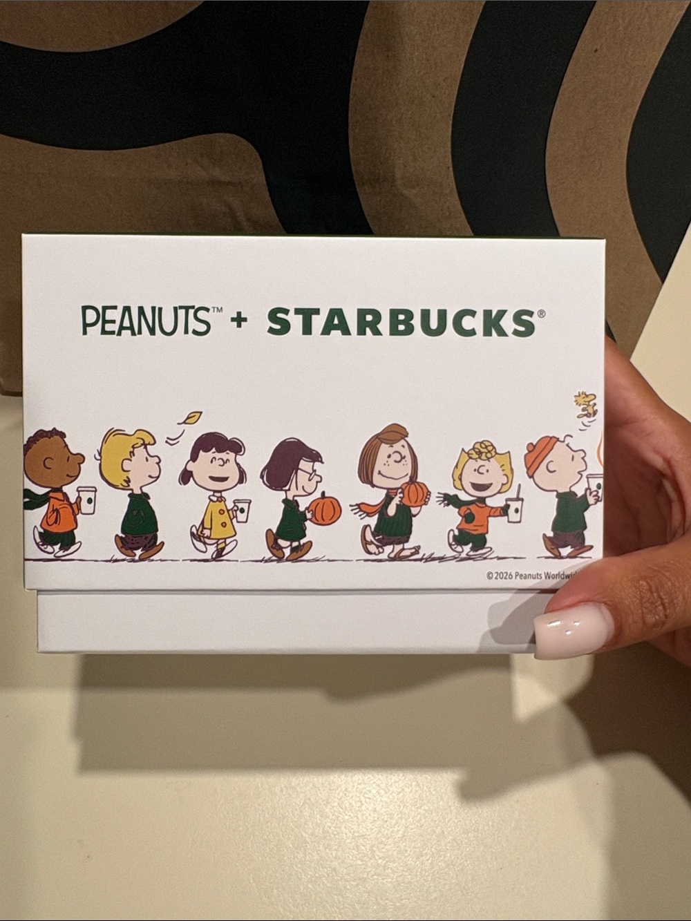 Starbucks Peanuts Collectible Gift